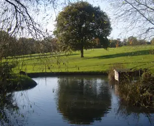 Birch Grove Golf Club