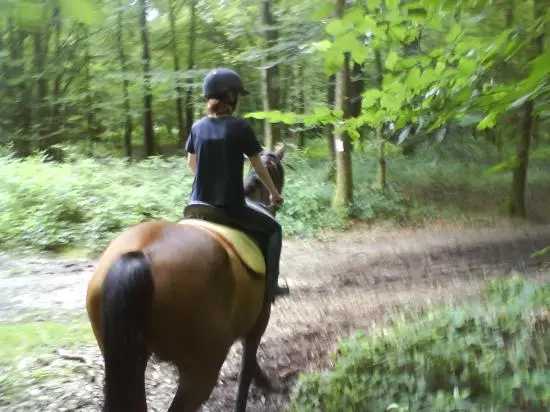 Horse ride
