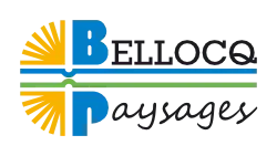 Pascal BELLOCQ Landscapes