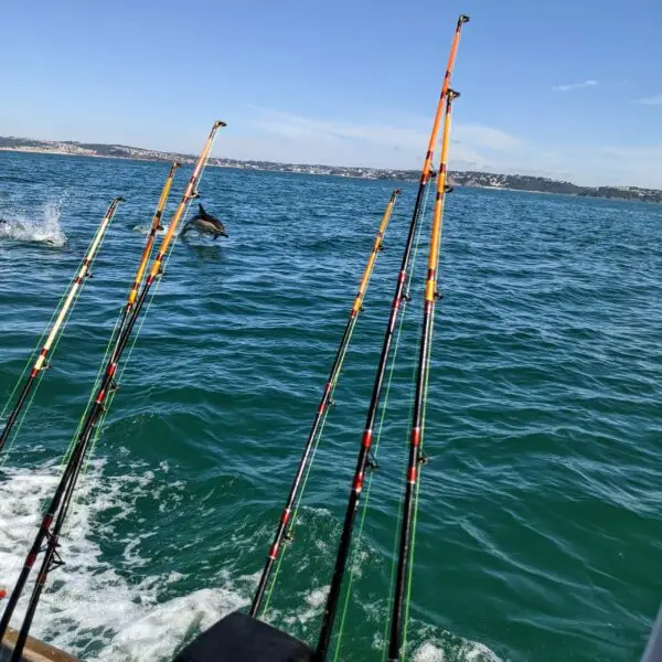 Funfish Trips & Pleasure Cruises