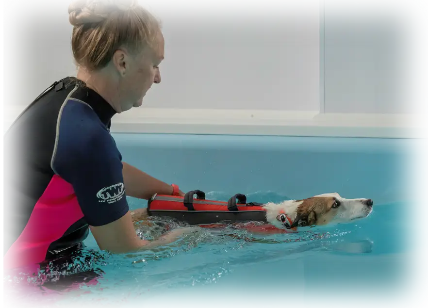 Little Barn Hydrotherapy