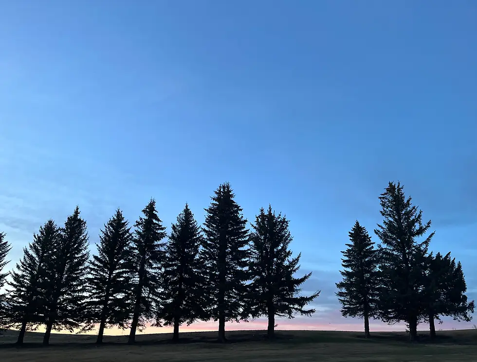 Magrath Golf Club