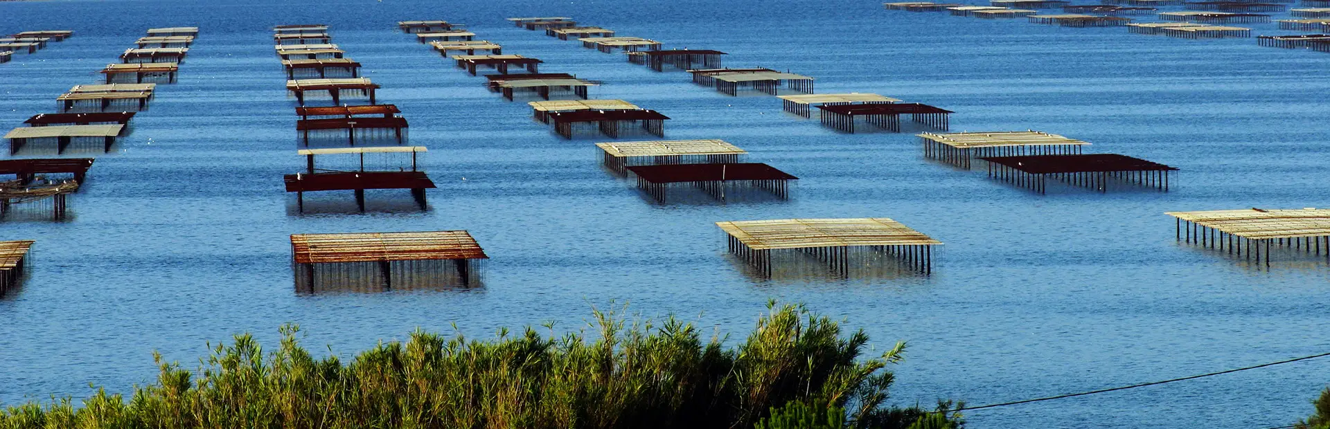 Piscine Joseph Di Stefano à Frontignan