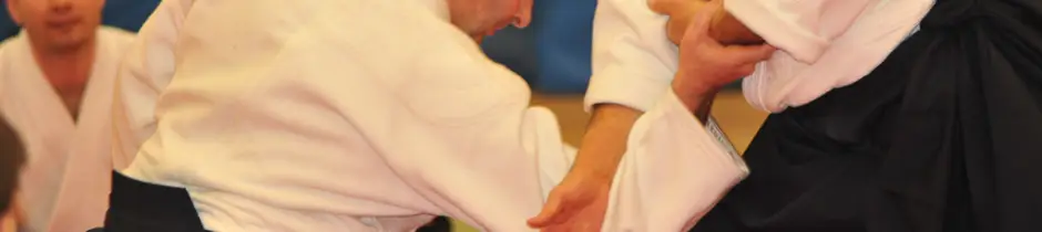 South Devon Aikikai