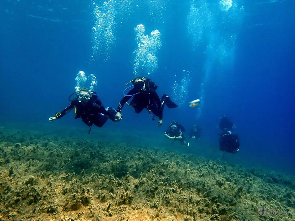 Cheshire Scuba Academy