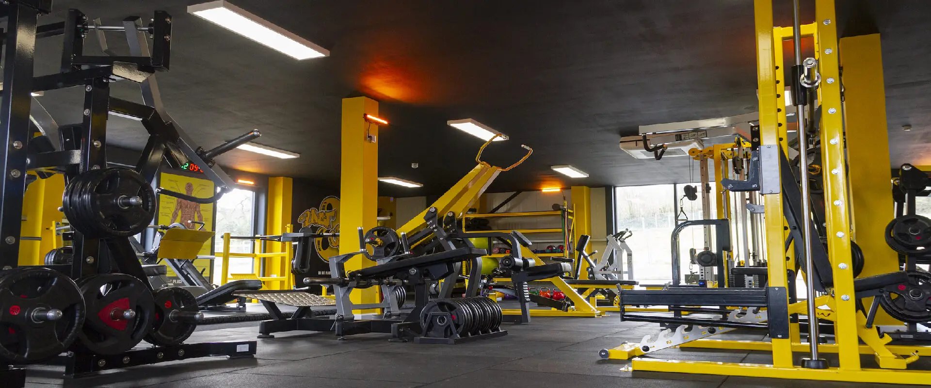 Unit 8 Gym