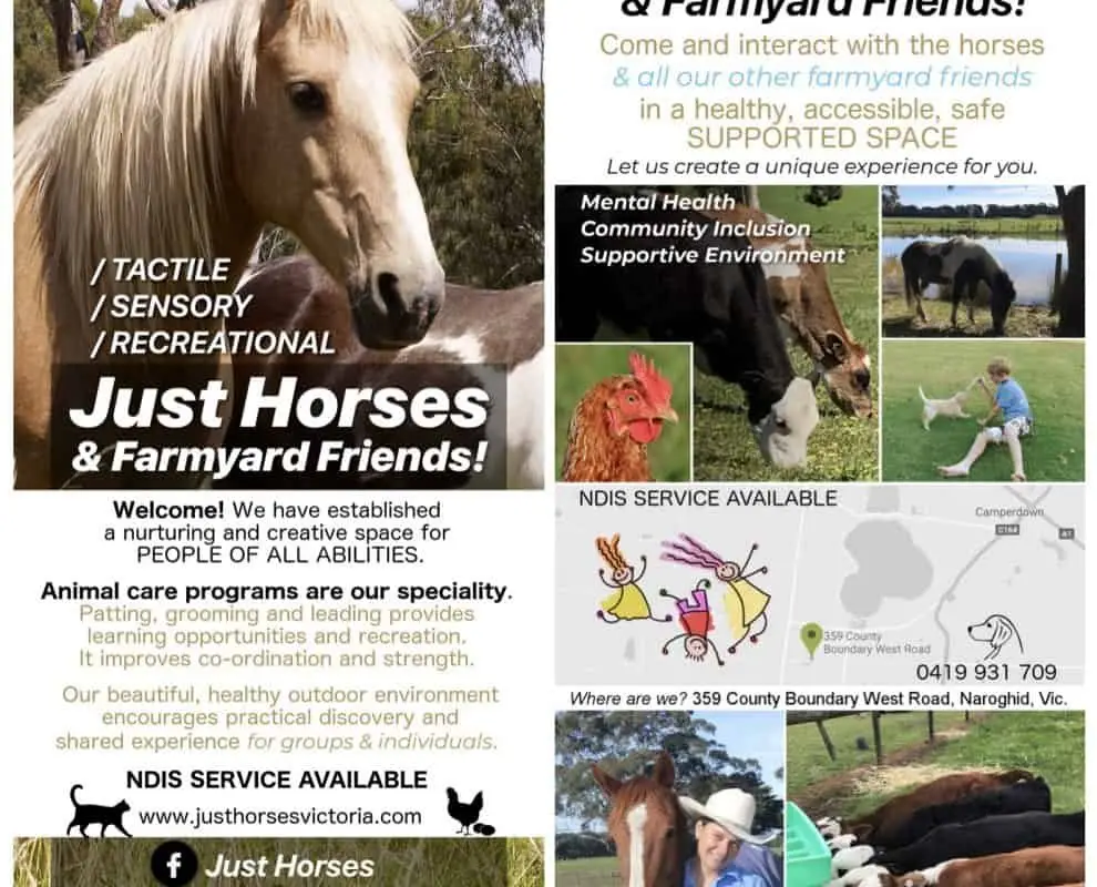 Just Horses