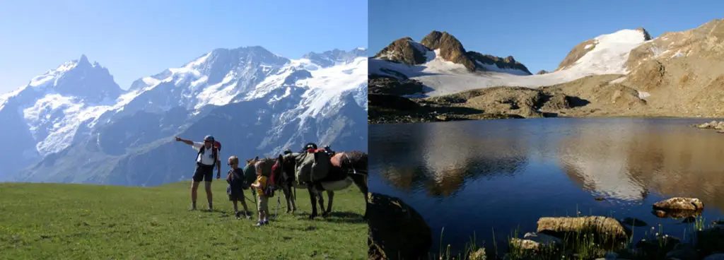 Les Anes En Montagne - Farm Des Anes