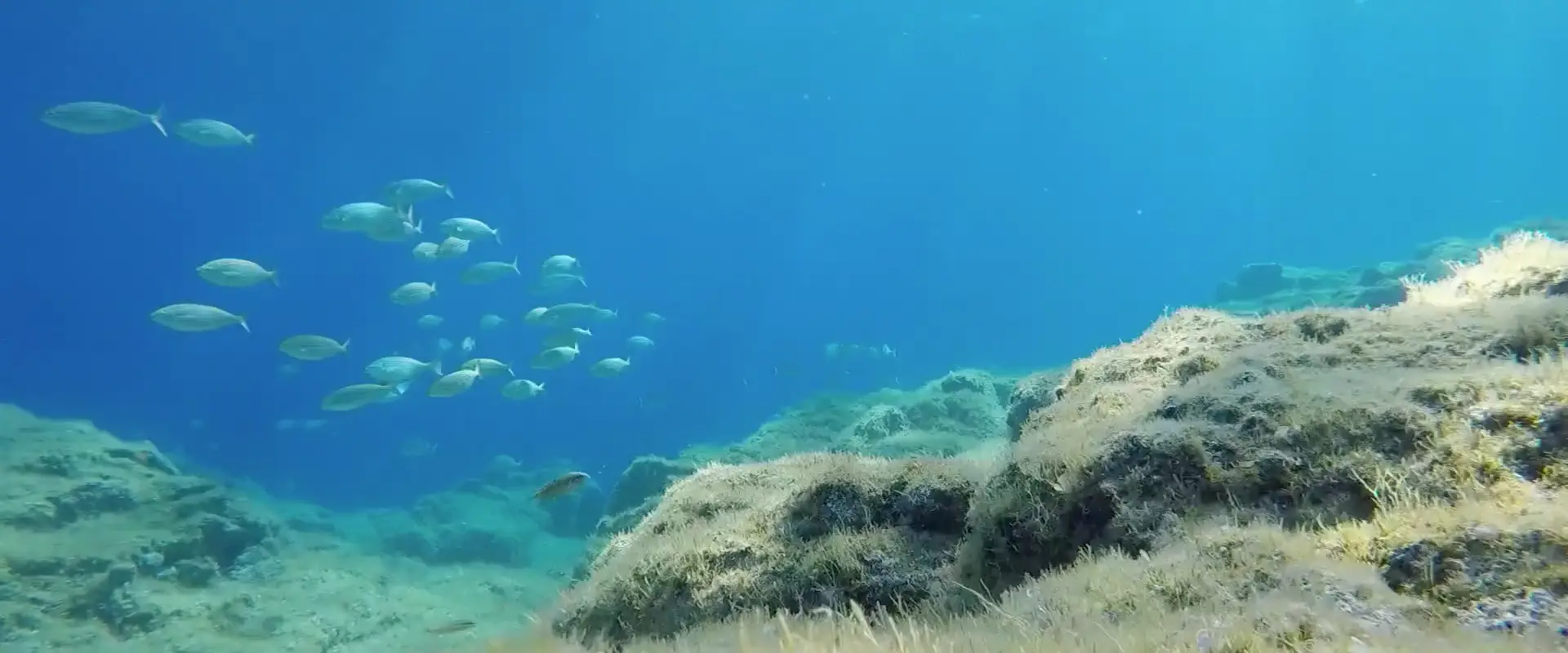 A l'Eau Rando