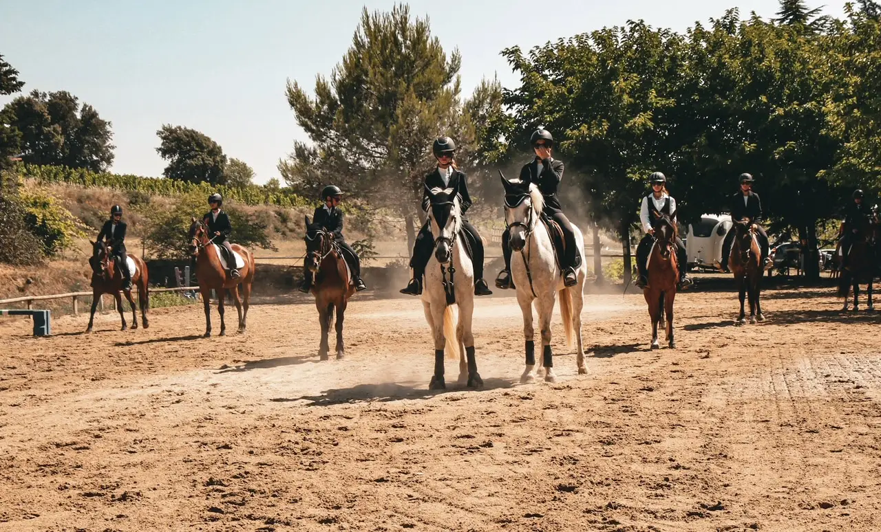 Centre Equestre Et Poney Club De Vaison