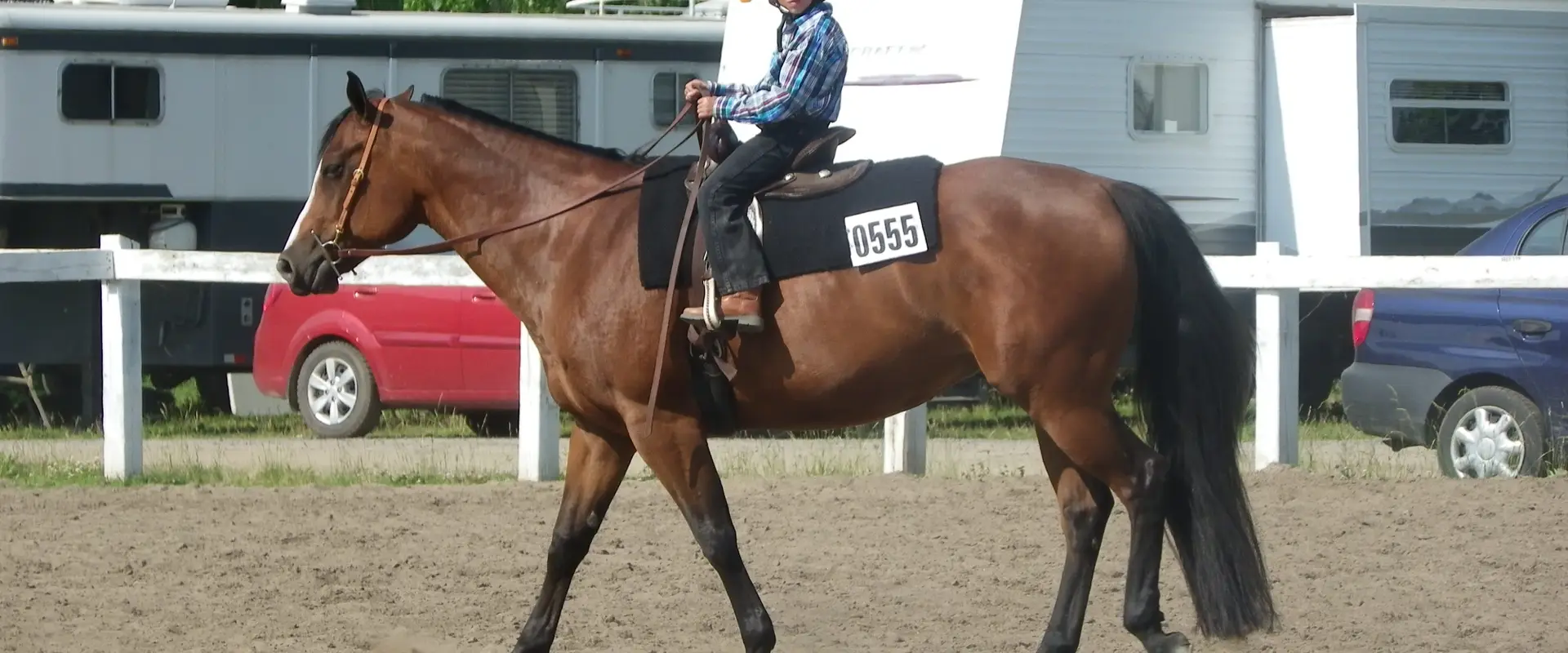 Equestrian Center & Services questres L'hritage