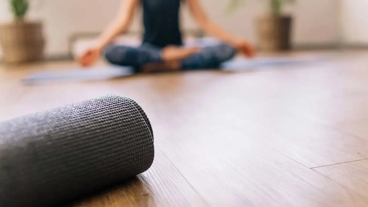 Wild Nest - Yoga Studio