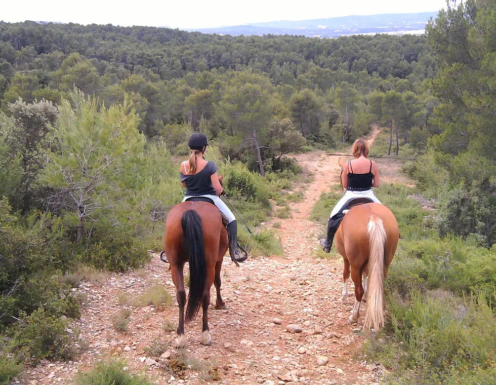 Balade à cheval Equité'fan