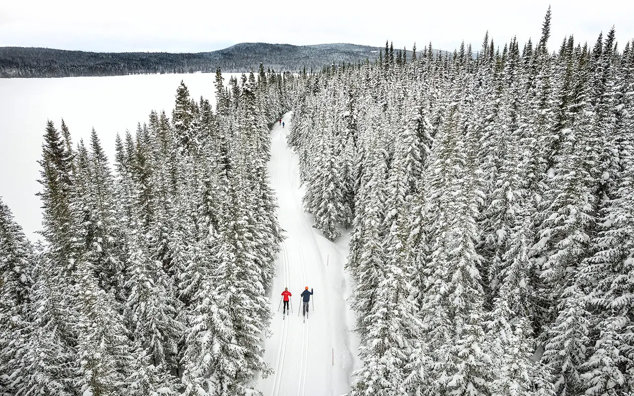 Parc national du Mont-Saint-Bruno