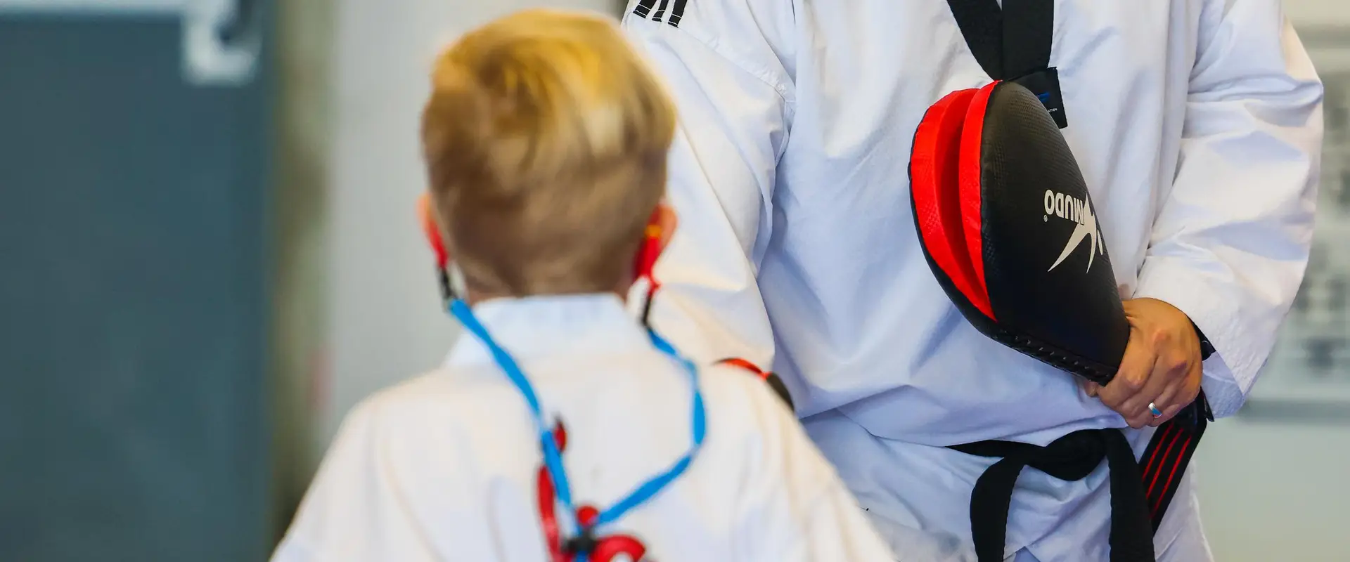 Red Phoenix Tae Kwon Do