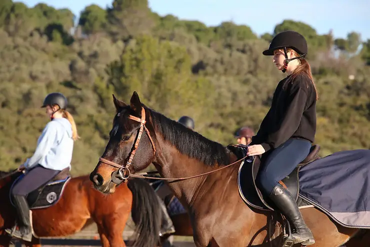 EQUITATION ST GEORGES D'ORQUES