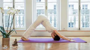 Omkamala Yoga Et Non Dualité