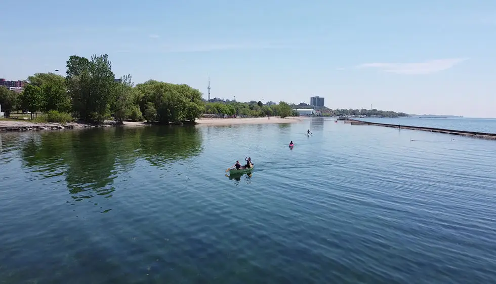 Sunnyside Paddling Club - Dragon Boat