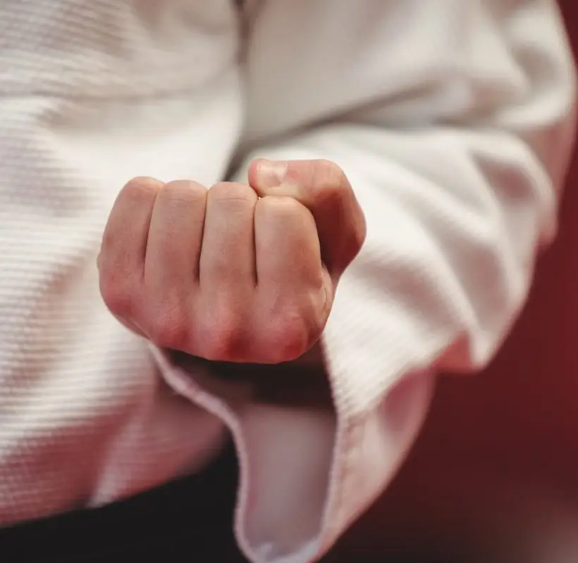 Kenagi Academy of Martial Arts