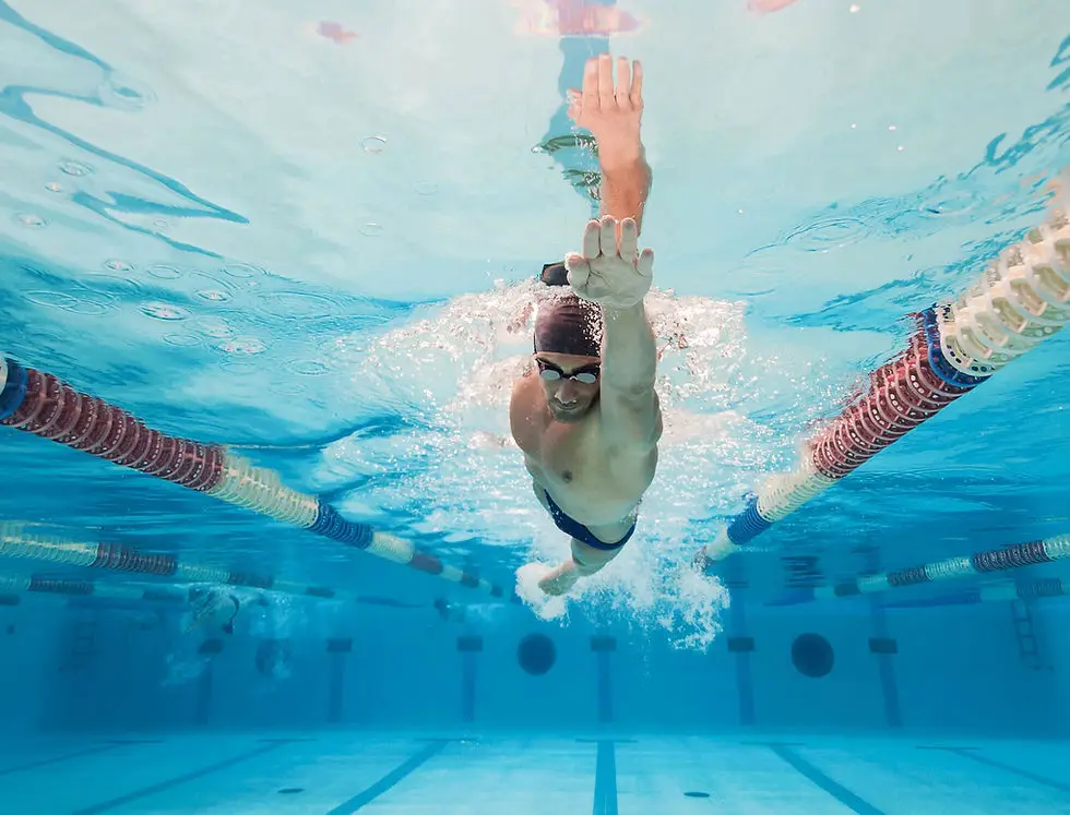 Dolphin Swim School