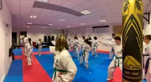Mitchelstown Taekwondo