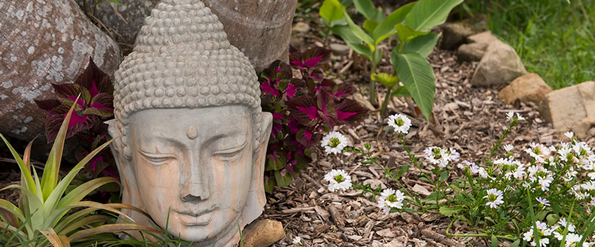 Gymea Eco Retreat & Spa