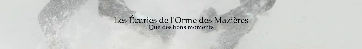 Les Ecuries De L'orme Des Mazières