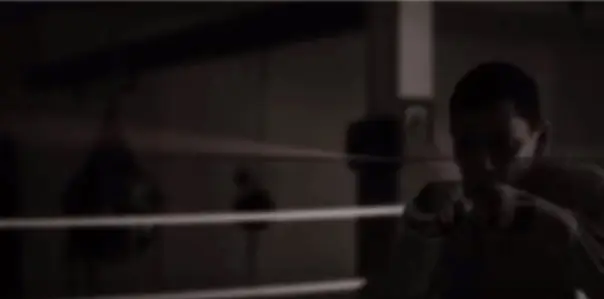 Nelson Boxing Club