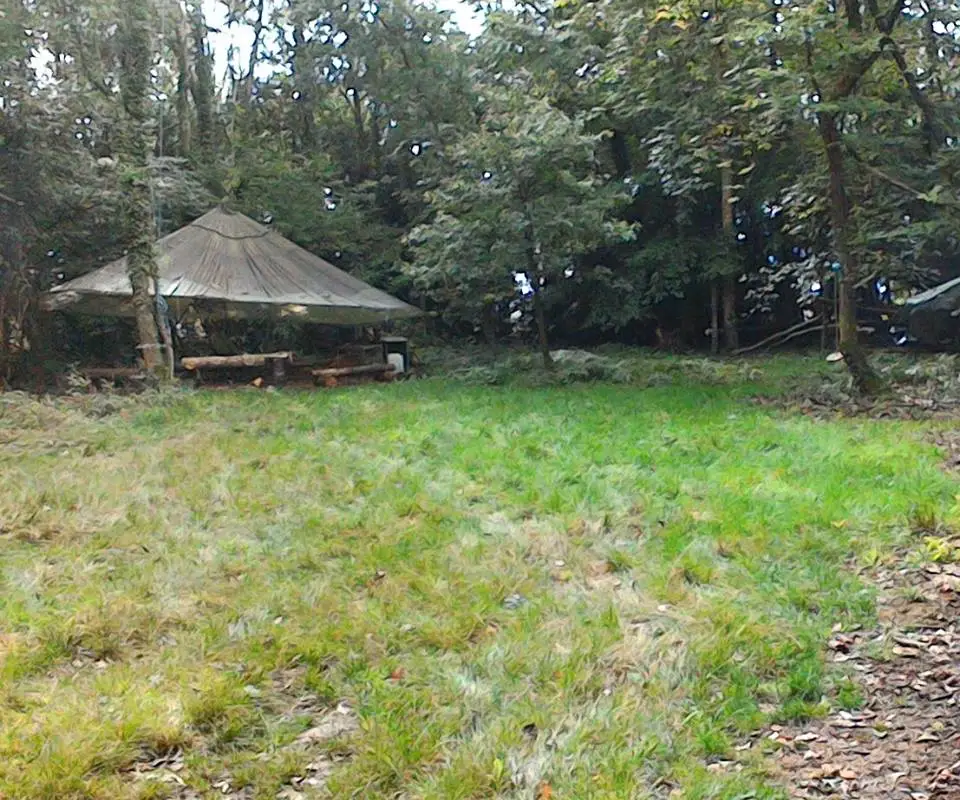 Wild Woodland Celebrations at West Ruggers Green