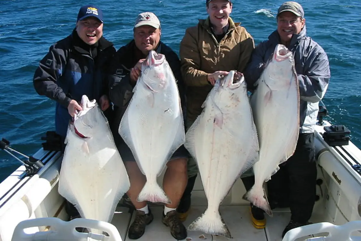 Foghorn Fishing Charters
