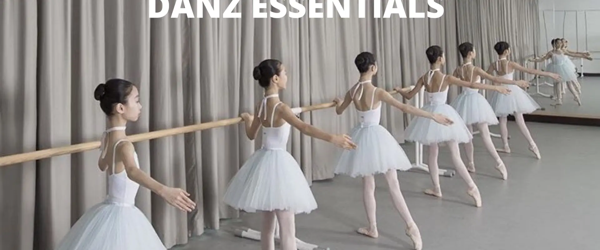 DANZ Etc
