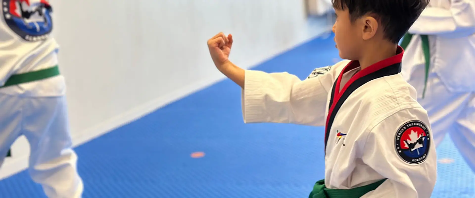 Heroes Taekwondo Academy