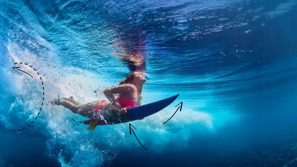 Safari Surf Adventures Trip Australia