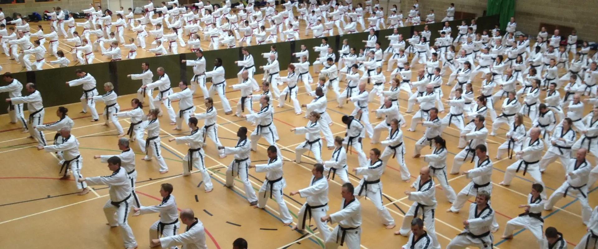 Newman Martial Arts