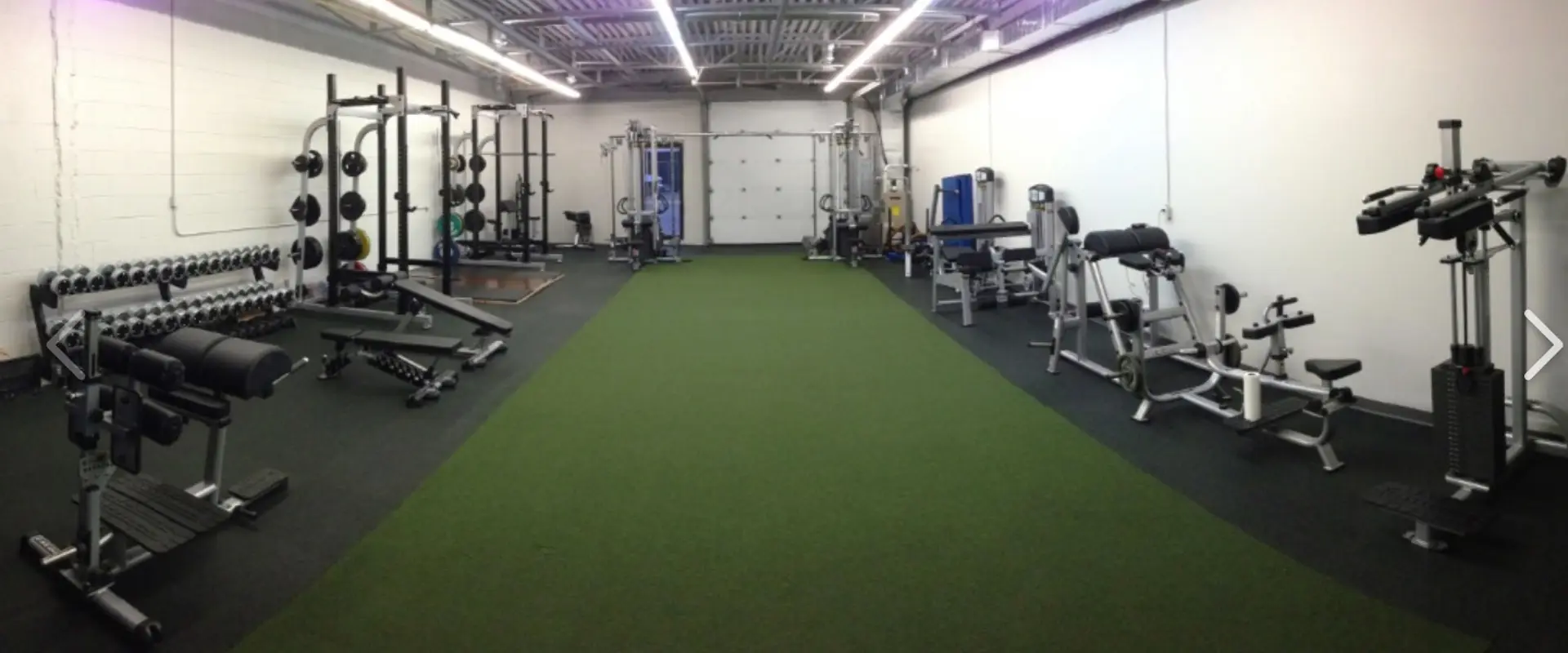 The Healthy Gym