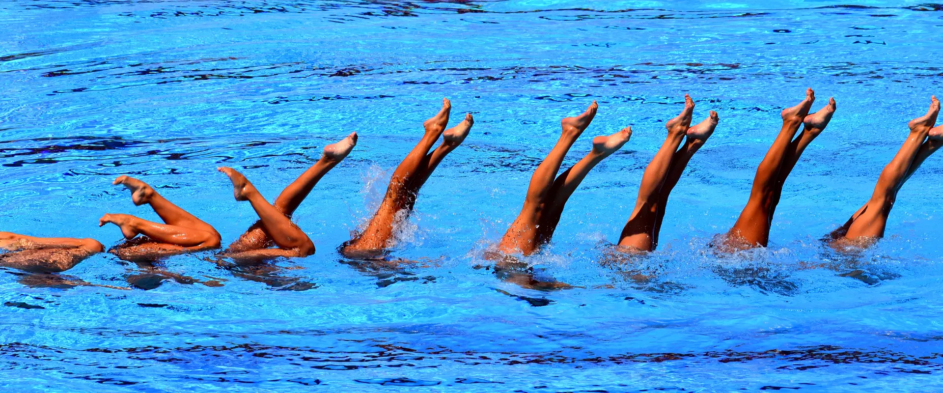 Synchro NSW