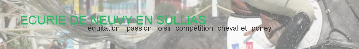 ECURIE DE NEUVY EN SULLIAS