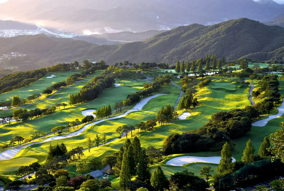 Golfing Success