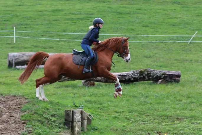 Centre Equestre De Savoie