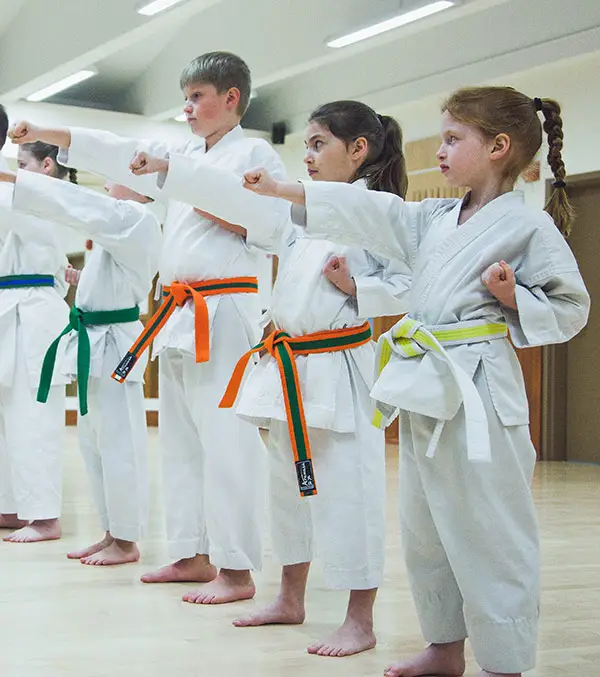School Karate Sankudo