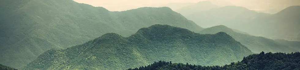 MaiYogaJourney