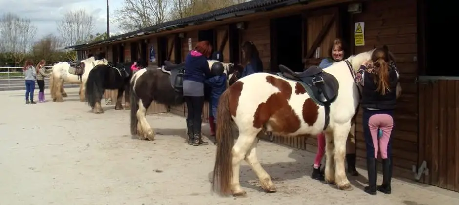 Andover Riding School