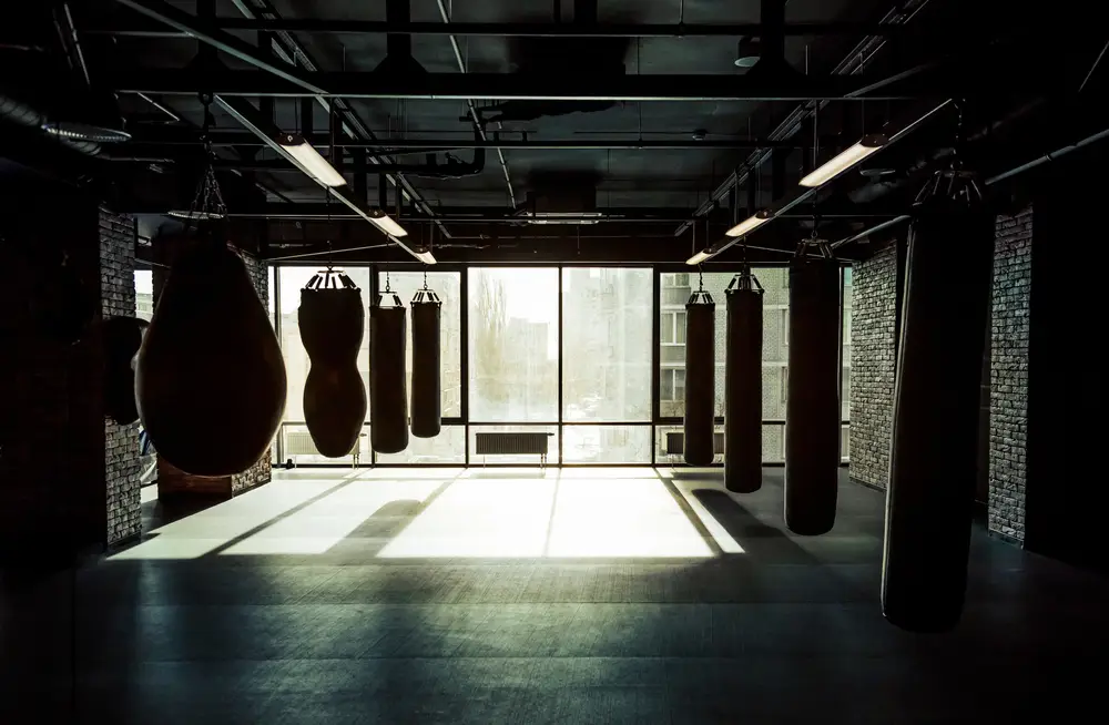 BOXOLOGY