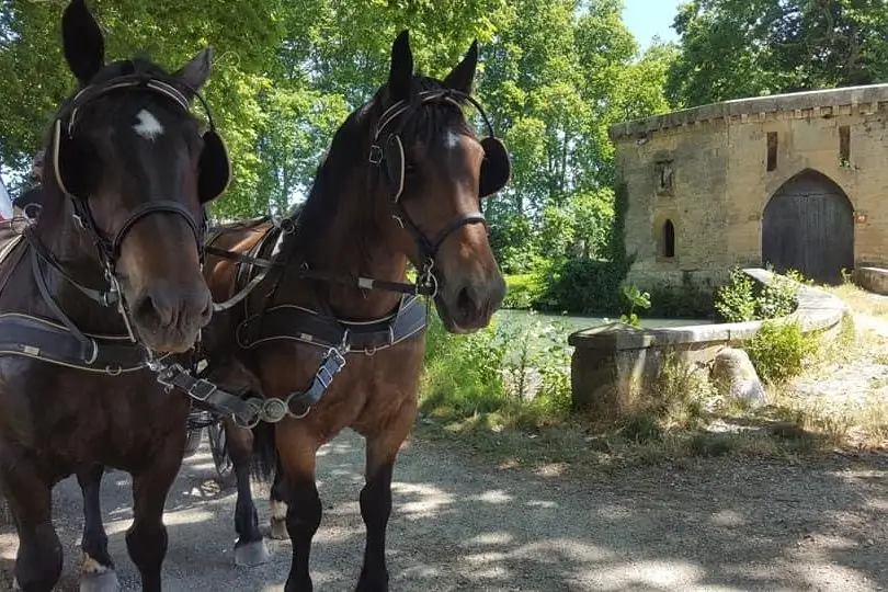 les sabots des chailles