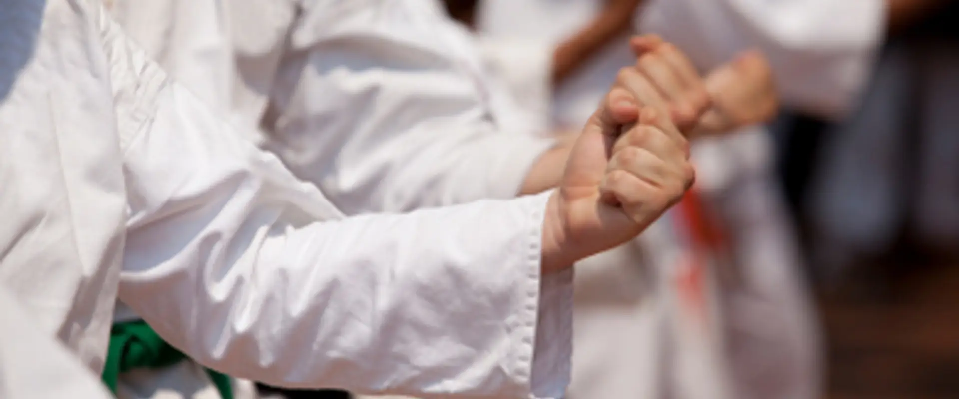 Shorin-Ryu Shorinkan Karate Clifton