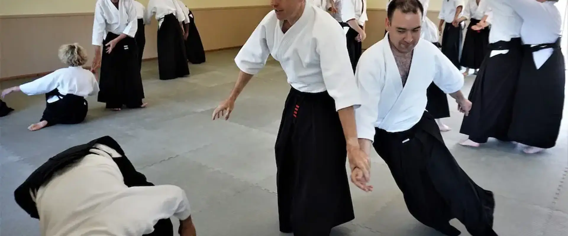 Plymouth Mountgould Ki Aikido