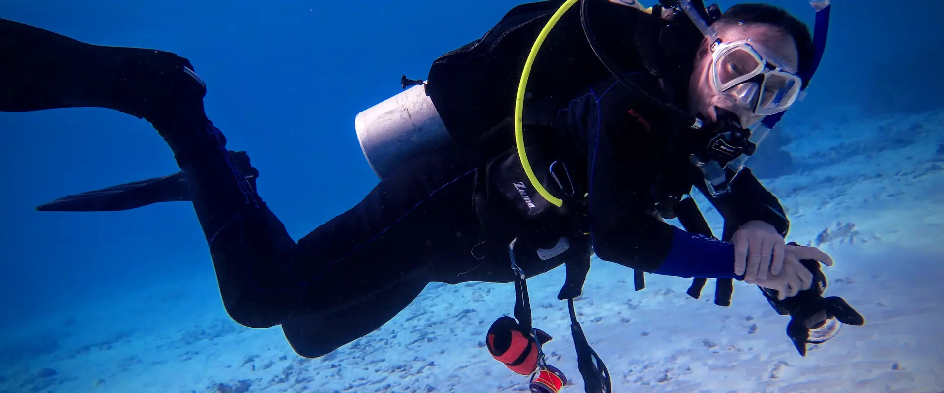 The Dive Shop