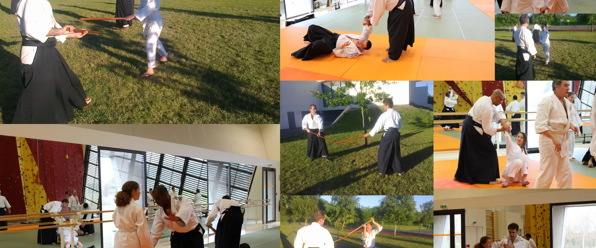 Aikido Traditional De La Cotiere