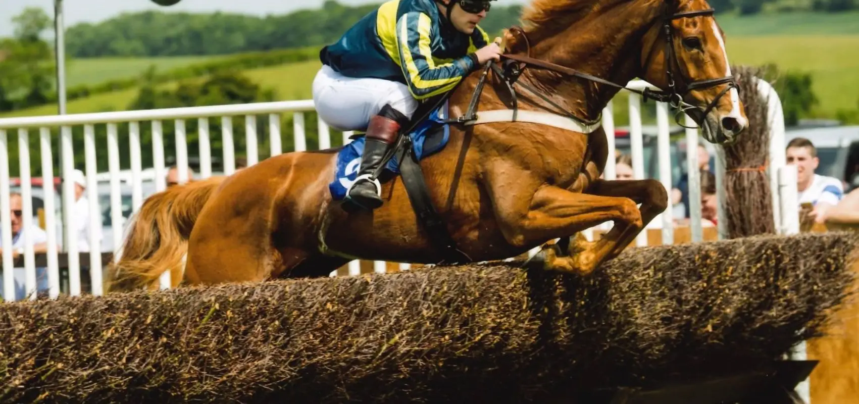 saxelbyemanorstud