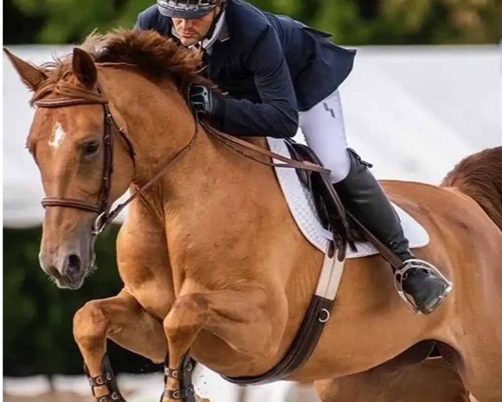 Butler Show Horses